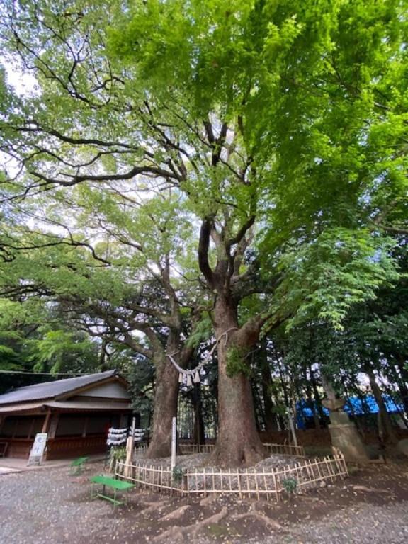 Hatago Hashimoto Ozu  Ngoại thất bức ảnh